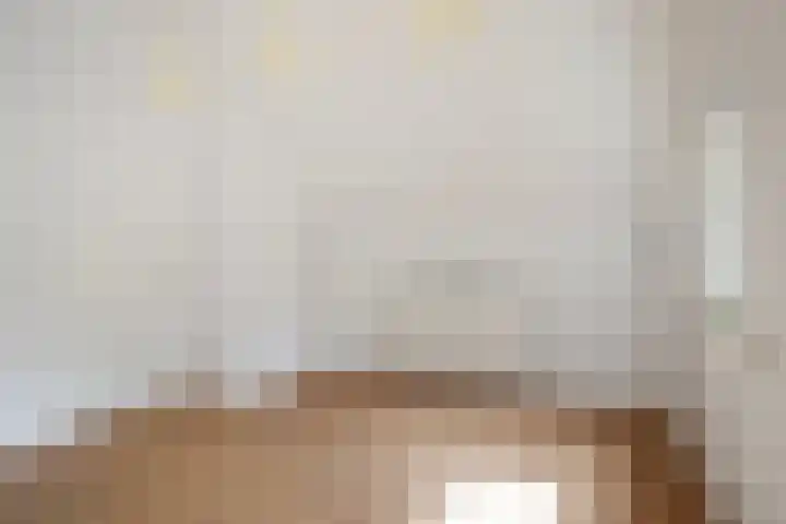 Sixmastins 2 Stiens thumbnail 51