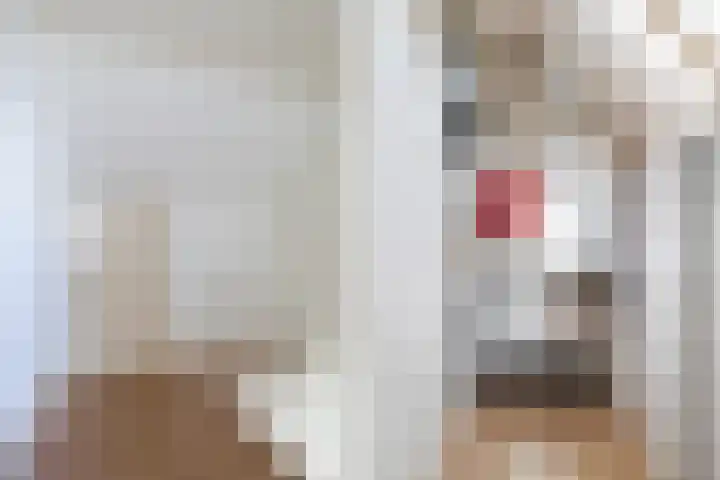 Sixmastins 2 Stiens thumbnail 52