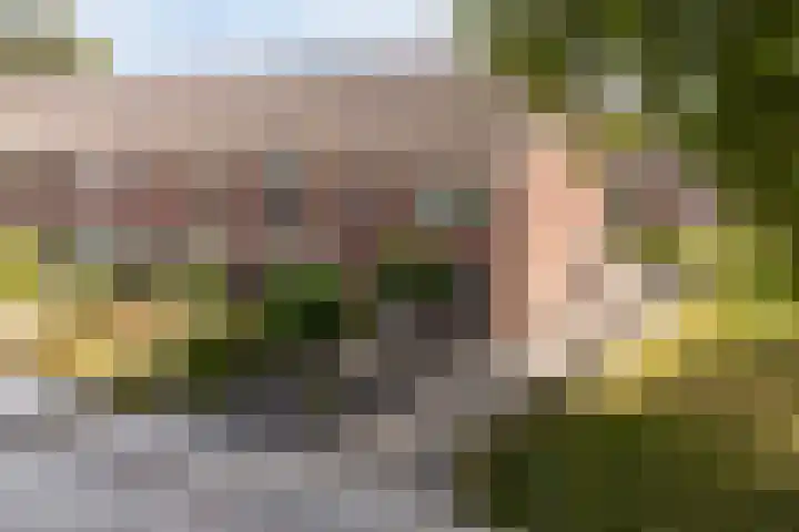 Sixmastins 2 Stiens thumbnail 53
