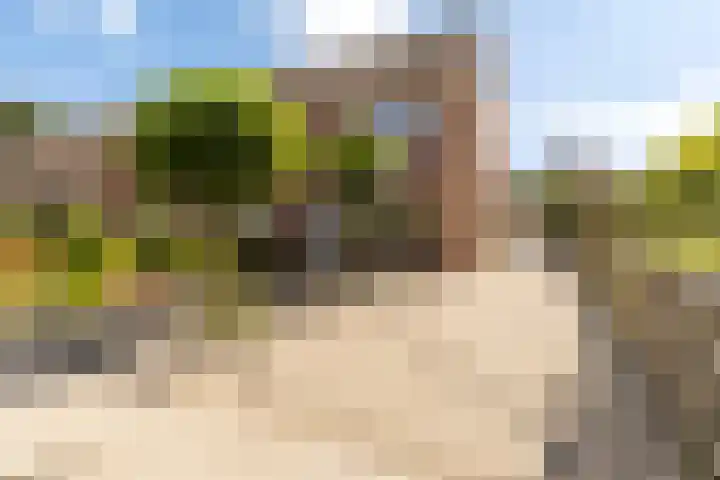 Sixmastins 2 Stiens thumbnail 6