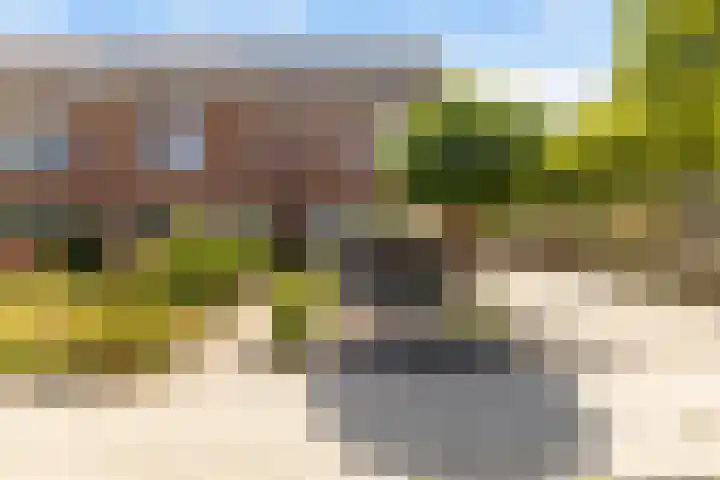 Sixmastins 2 Stiens thumbnail 8