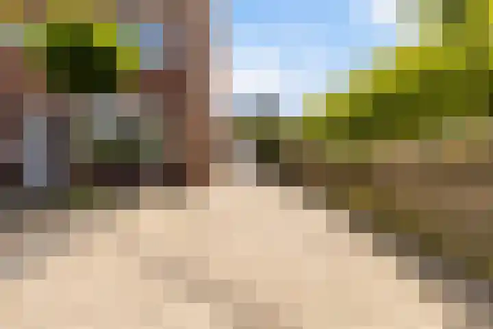 Sixmastins 2 Stiens thumbnail 9