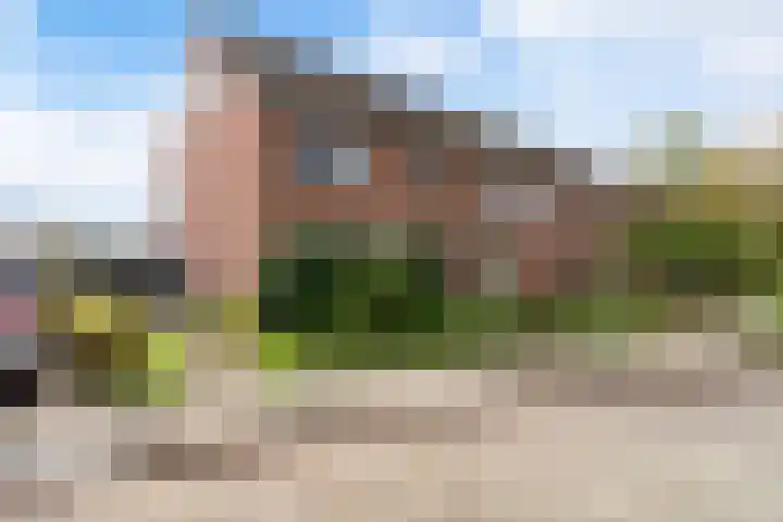 Sixmastins 32 en Stiens