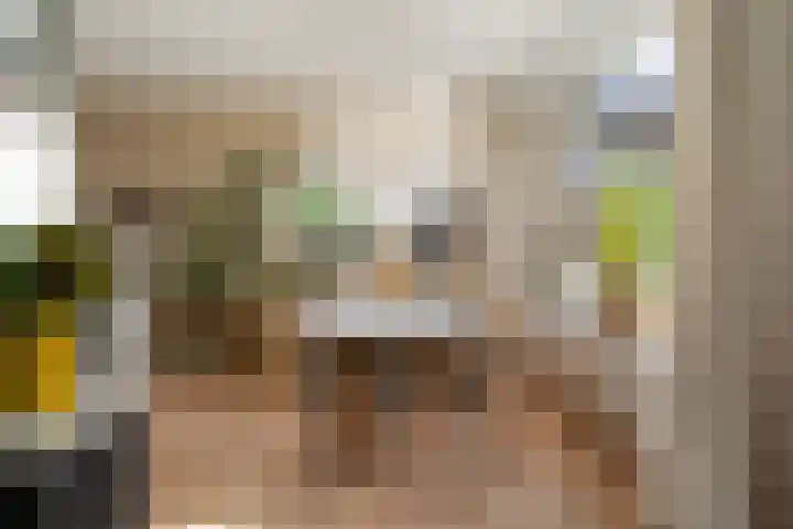 Sixmastins 32 Stiens thumbnail 11