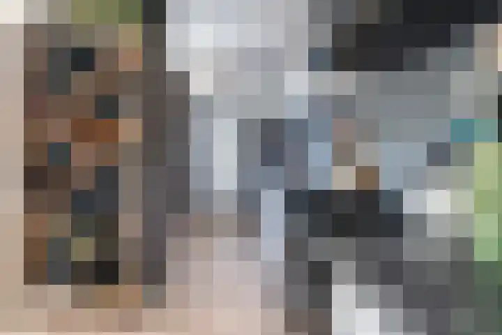 Sixmastins 32 Stiens thumbnail 12
