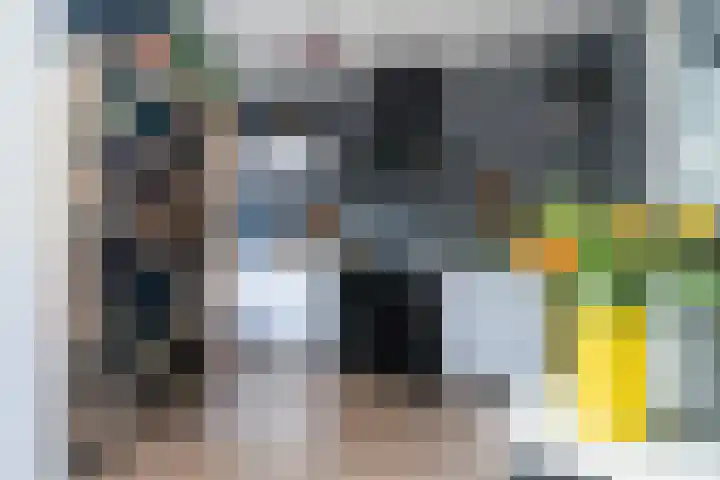 Sixmastins 32 Stiens thumbnail 13