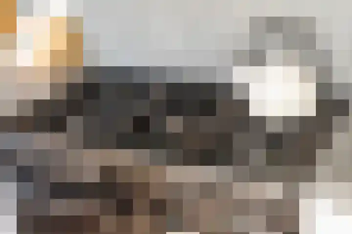 Sixmastins 32 Stiens thumbnail 14