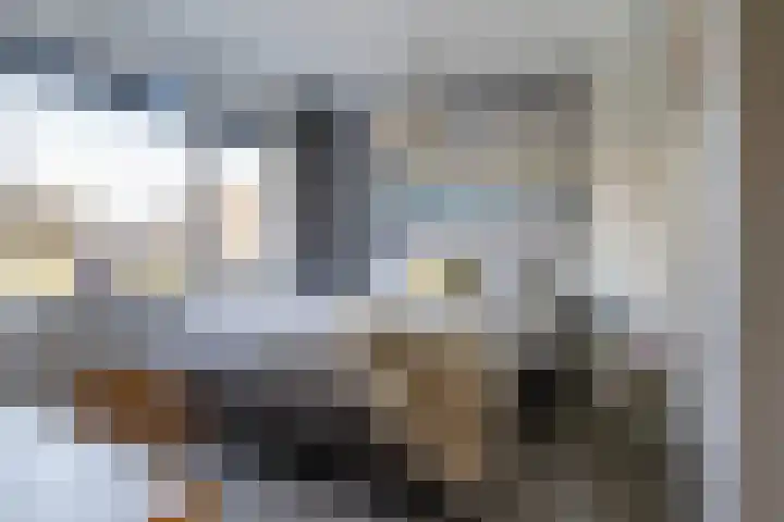 Sixmastins 32 Stiens thumbnail 17
