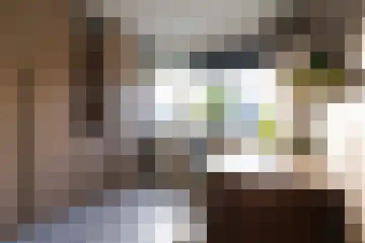 Sixmastins 32 Stiens thumbnail 20