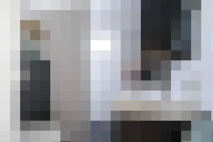 Sixmastins 32 Stiens thumbnail 22