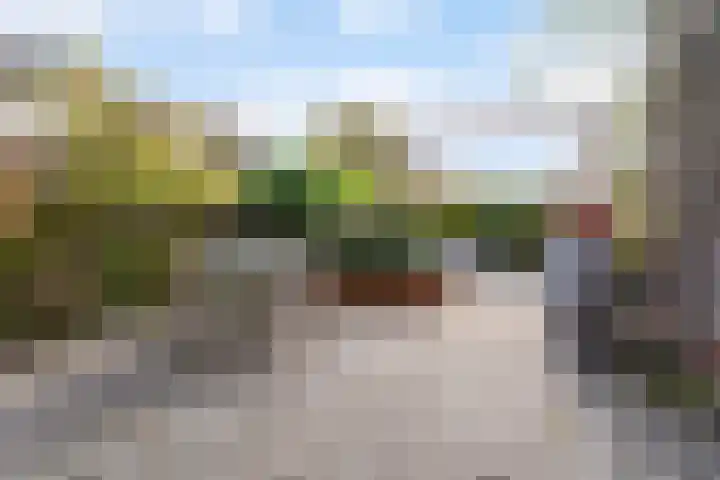 Sixmastins 32 Stiens thumbnail 26