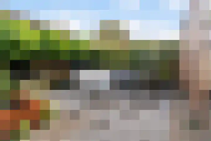 Sixmastins 32 Stiens thumbnail 27
