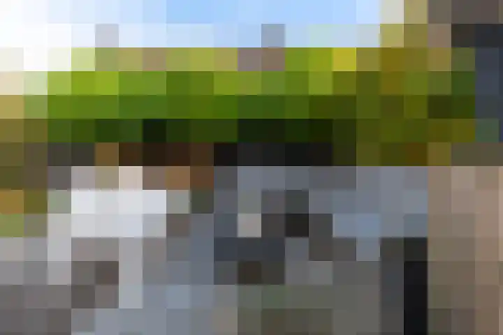 Sixmastins 32 Stiens thumbnail 28