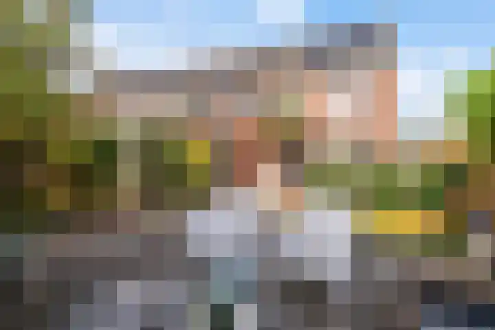 Sixmastins 32 Stiens thumbnail 29