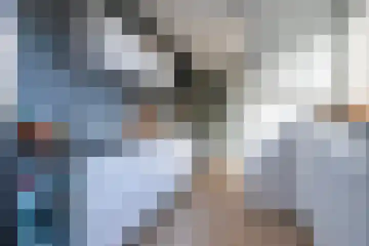 Sixmastins 32 Stiens foto 3