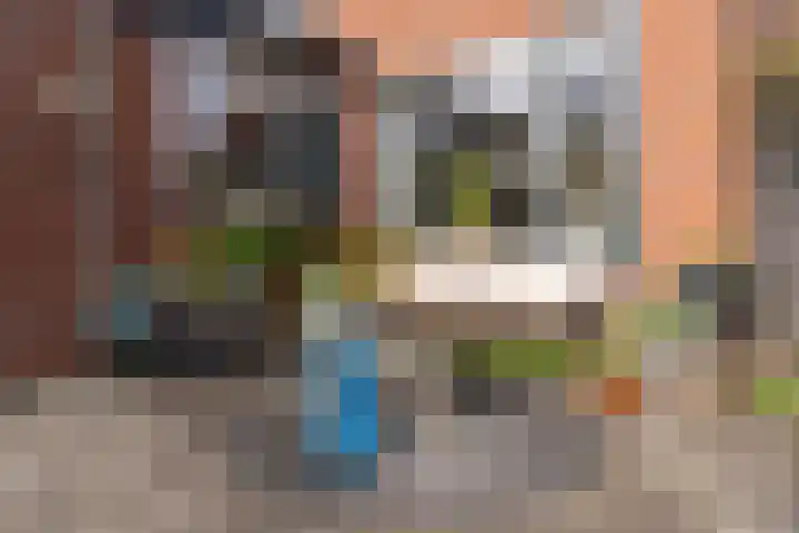 Sixmastins 32 Stiens thumbnail 31