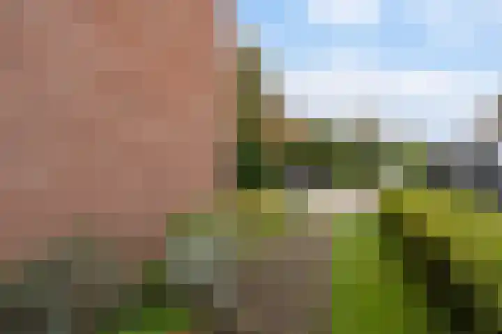 Sixmastins 32 Stiens thumbnail 32