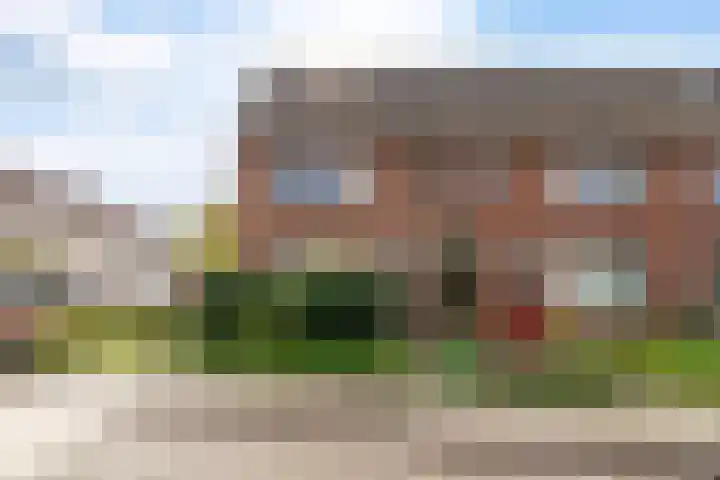 Sixmastins 32 Stiens thumbnail 33