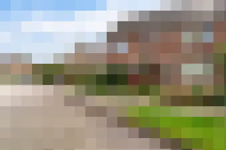 Sixmastins 32 Stiens thumbnail 34