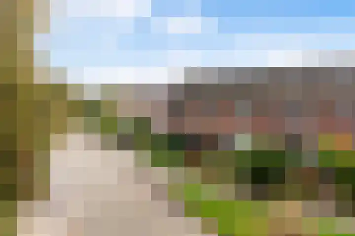 Sixmastins 32 Stiens thumbnail 36