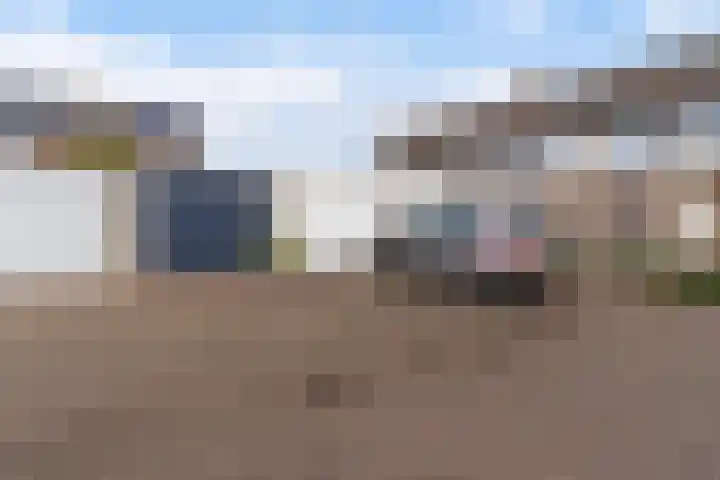 Sixmastins 32 Stiens thumbnail 37