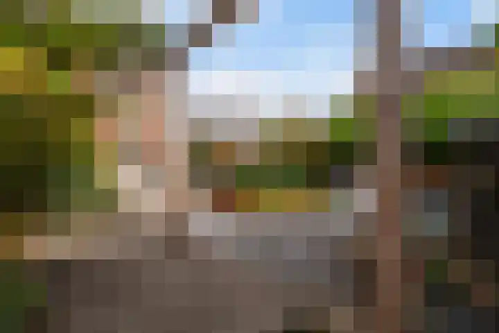 Sixmastins 32 Stiens thumbnail 4