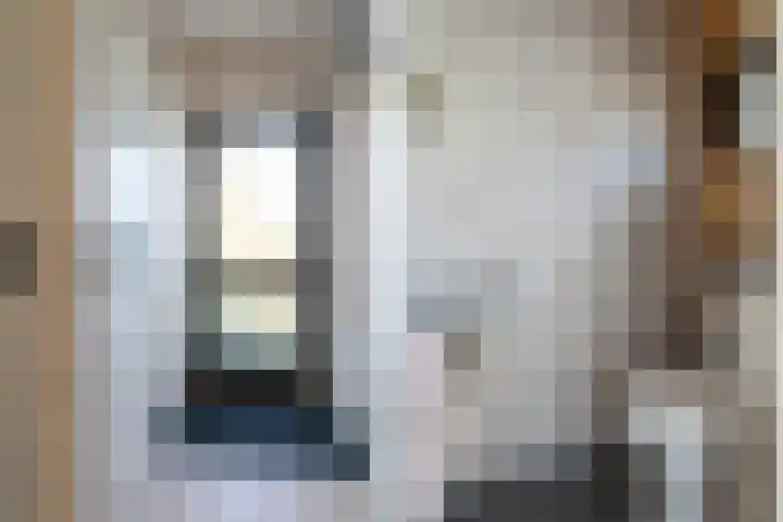 Sixmastins 32 Stiens thumbnail 6