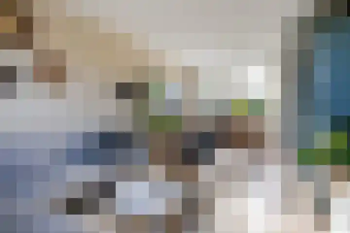 Sixmastins 32 Stiens thumbnail 7