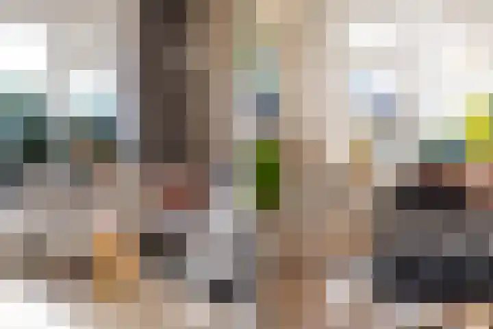 Sixmastins 32 Stiens thumbnail 8