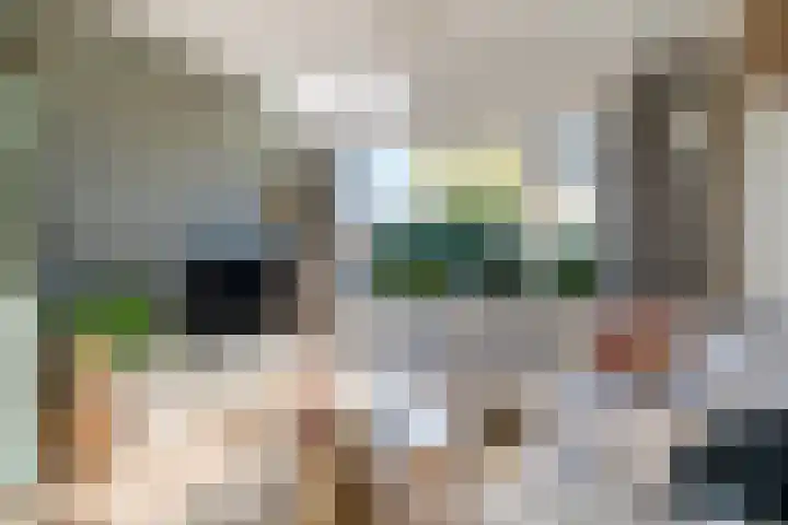 Sixmastins 32 Stiens thumbnail 9