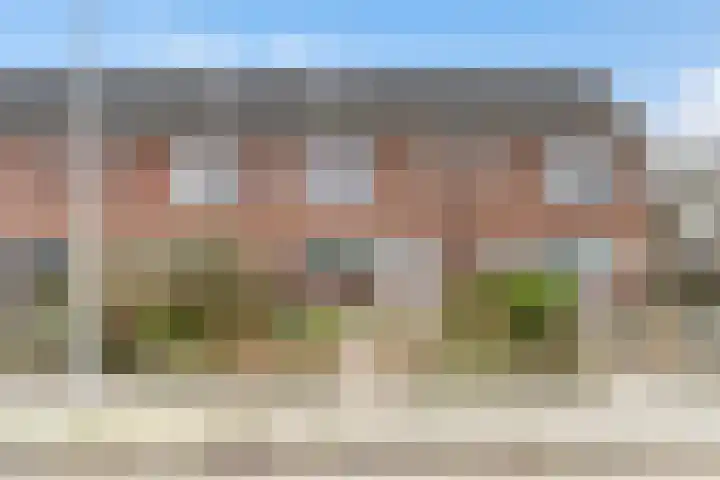 Sixmastins 4 Stiens