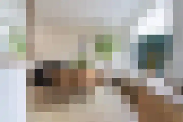 Sixmastins 4 Stiens thumbnail 10