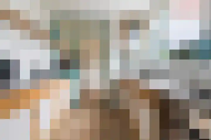 Sixmastins 4 Stiens thumbnail 12