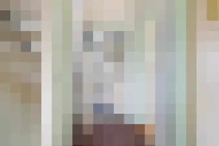 Sixmastins 4 Stiens thumbnail 14
