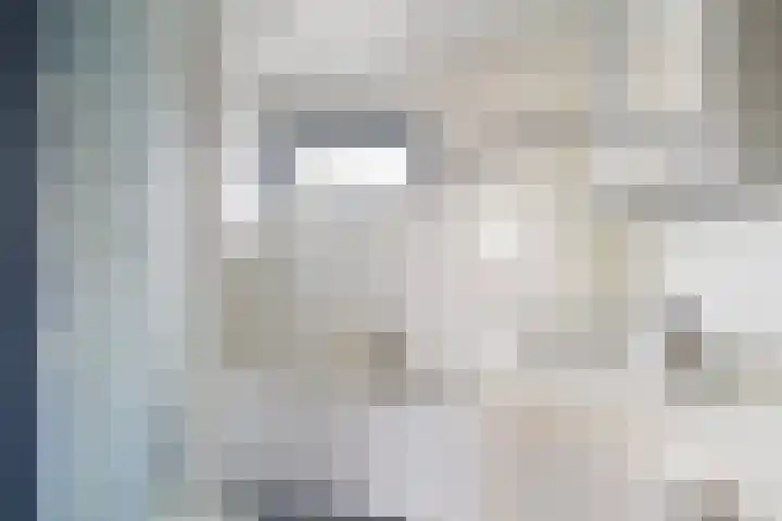 Sixmastins 4 Stiens thumbnail 20