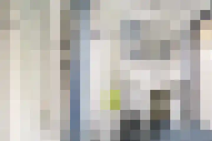 Sixmastins 4 Stiens thumbnail 21