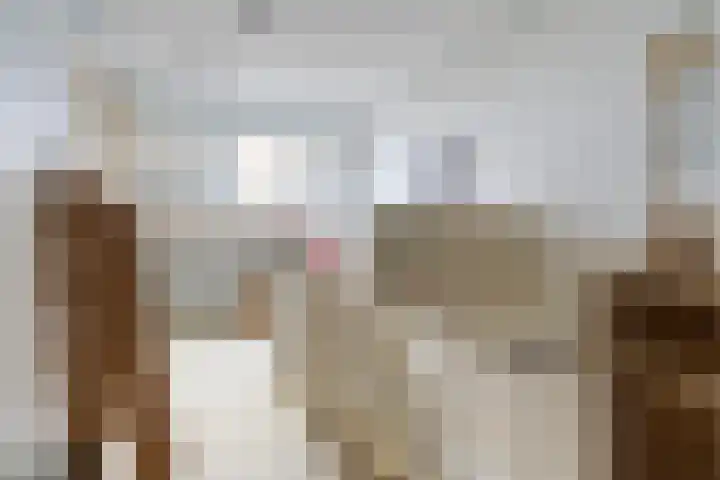 Sixmastins 4 Stiens thumbnail 22