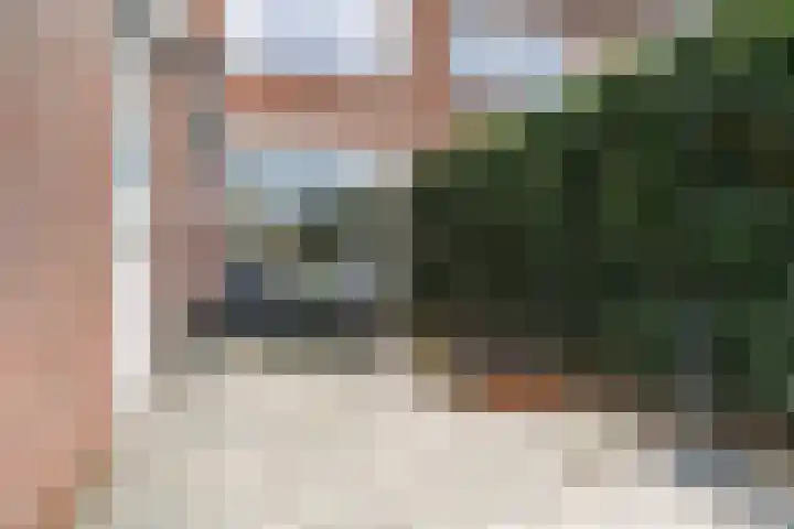 Sixmastins 4 Stiens thumbnail 25