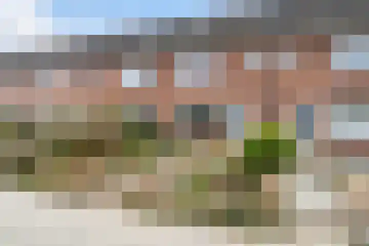 Sixmastins 4 Stiens thumbnail 29