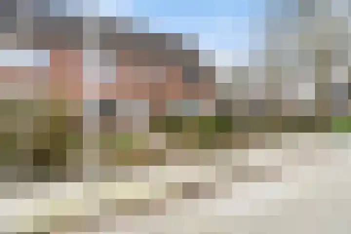 Sixmastins 4 Stiens thumbnail 30