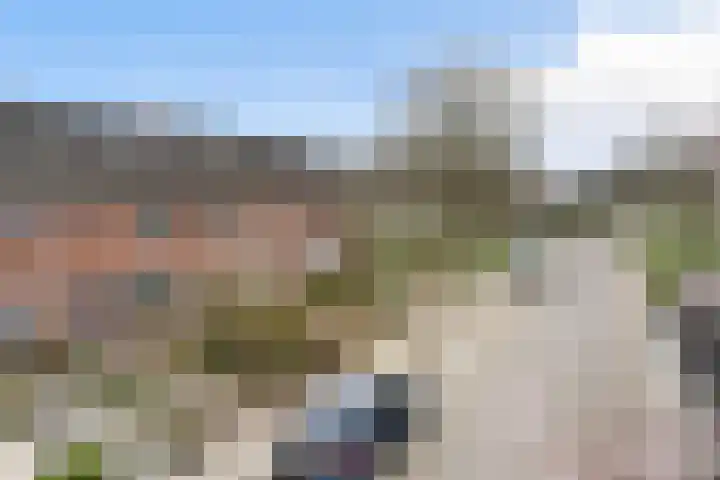 Sixmastins 4 Stiens thumbnail 33
