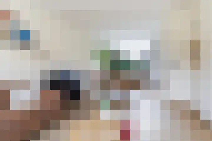 Sixmastins 4 Stiens thumbnail 9
