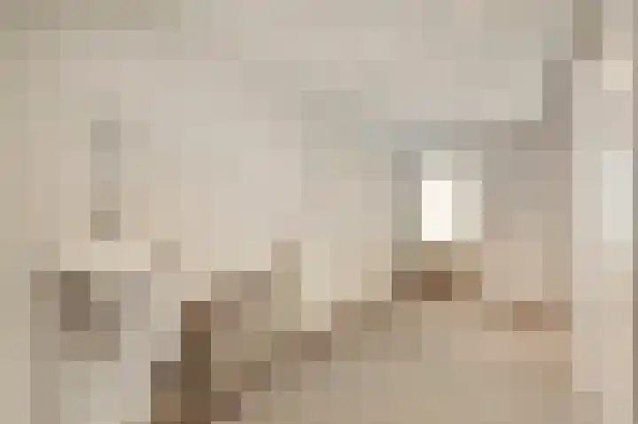 SJ Spanjaardstraat 33 Borne thumbnail 10