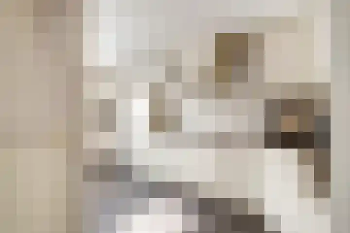 SJ Spanjaardstraat 33 Borne thumbnail 7