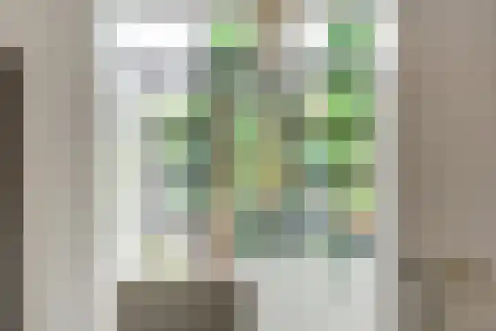 SJ Spanjaardstraat 4 Borne thumbnail 16