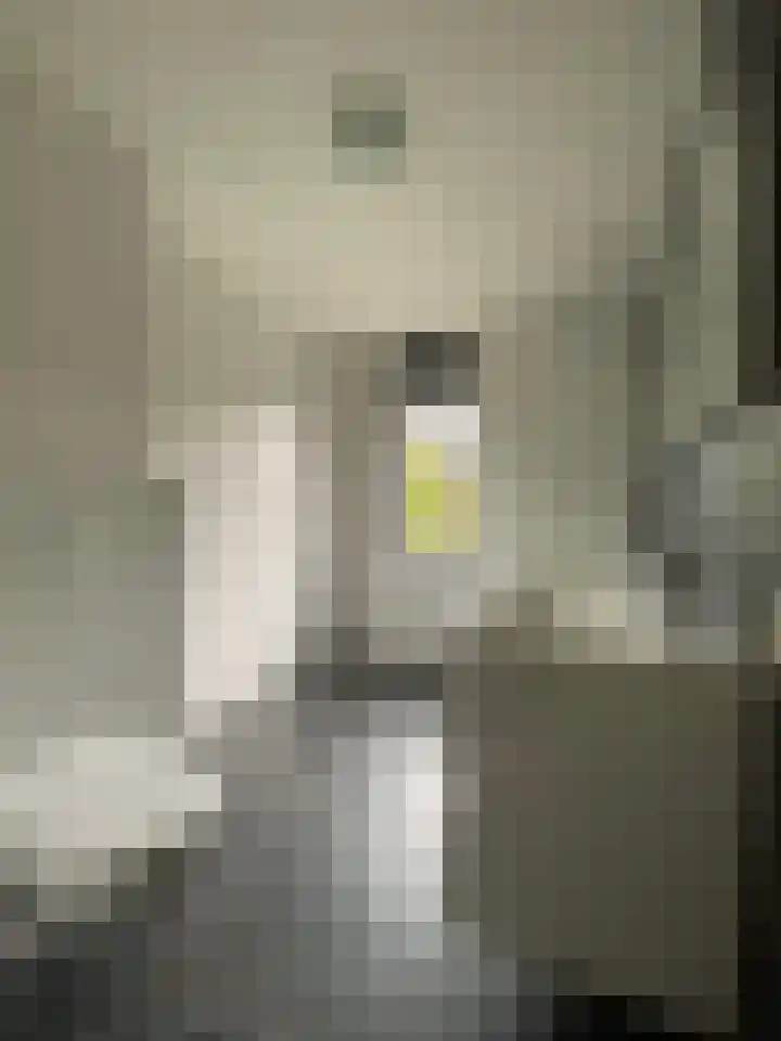 SJ Spanjaardstraat 4 Borne thumbnail 4