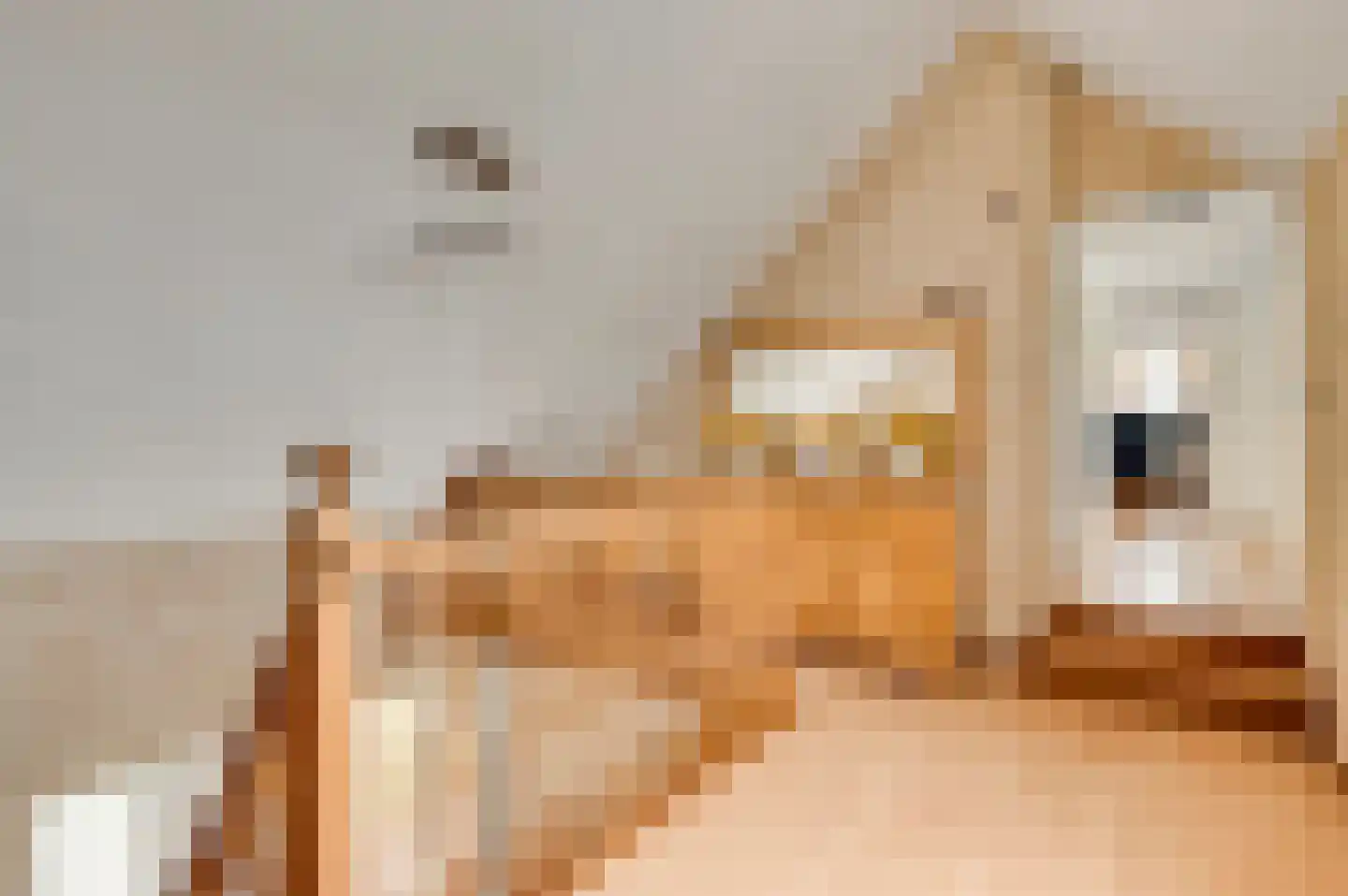 Sjaak Kruijssenlaan 2 Eindhoven thumbnail 39
