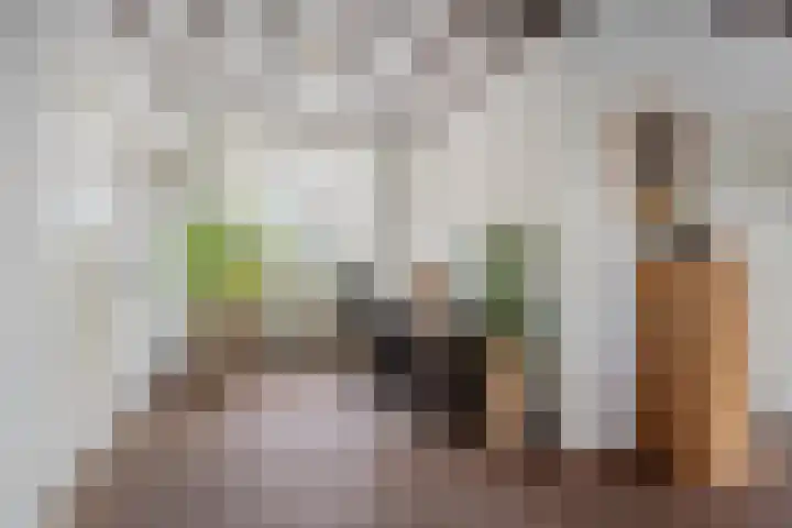 Sjaerdawei 21 Oppenhuizen thumbnail 11