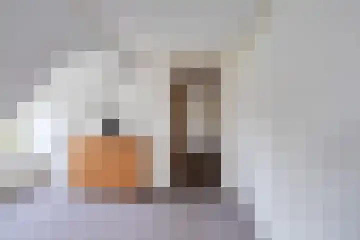 Sjaerdawei 21 Oppenhuizen thumbnail 22