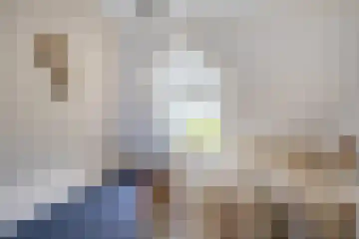 Sjaerdawei 21 Oppenhuizen thumbnail 28
